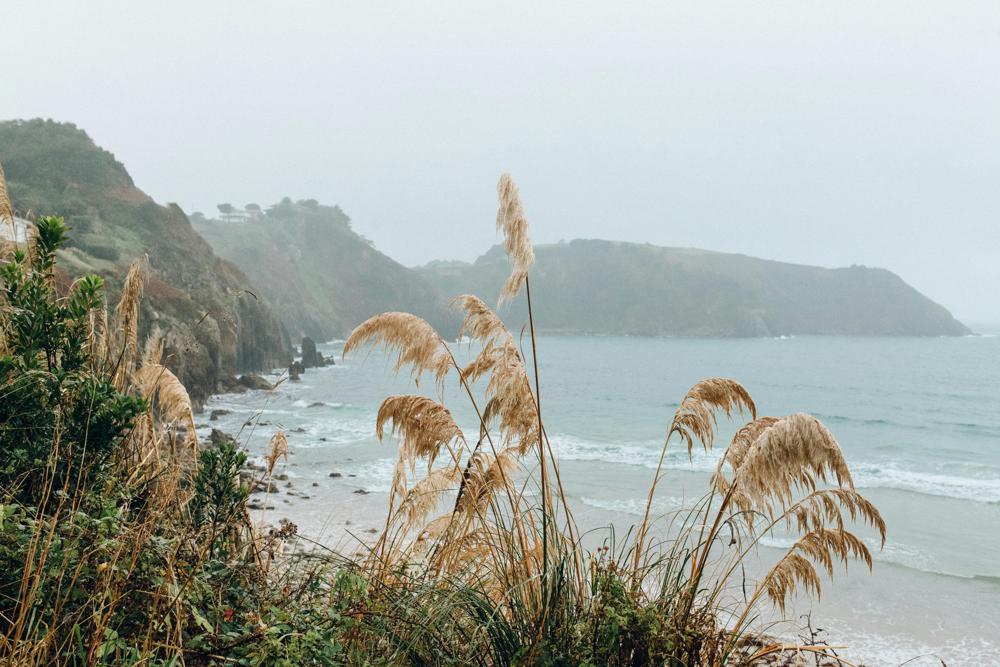 autumn beach