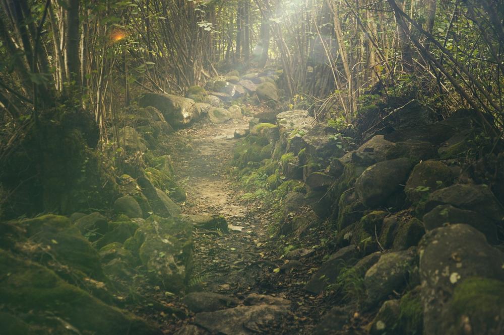 mountain trail