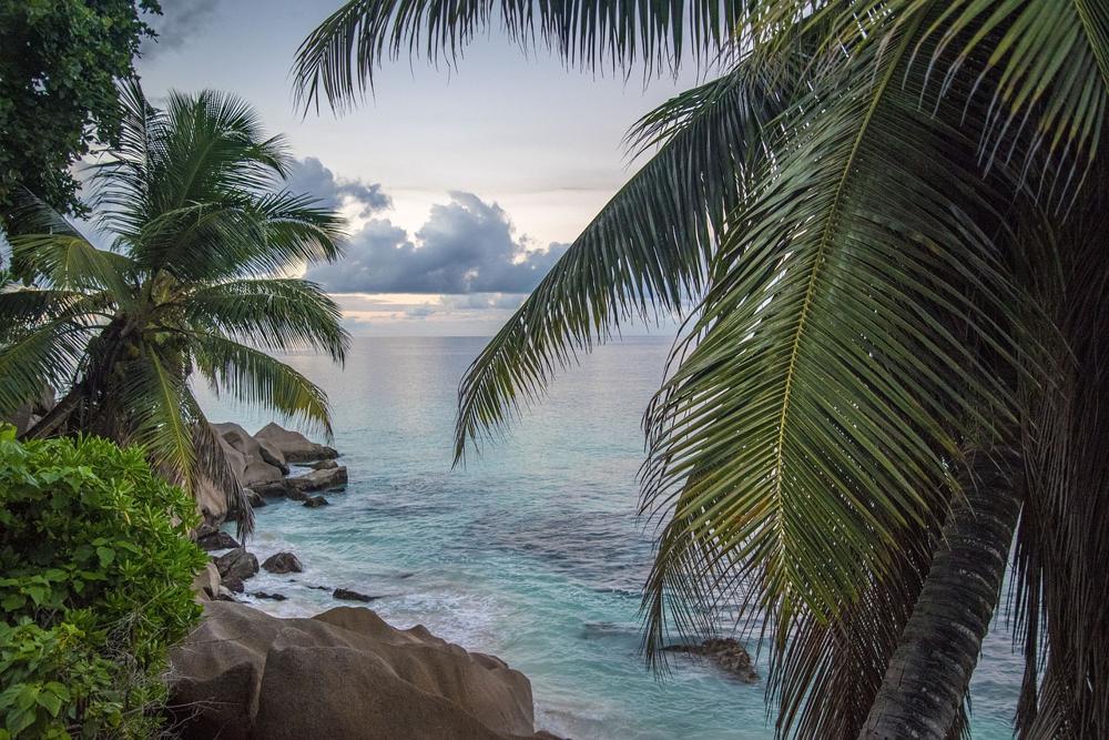 tropical beach